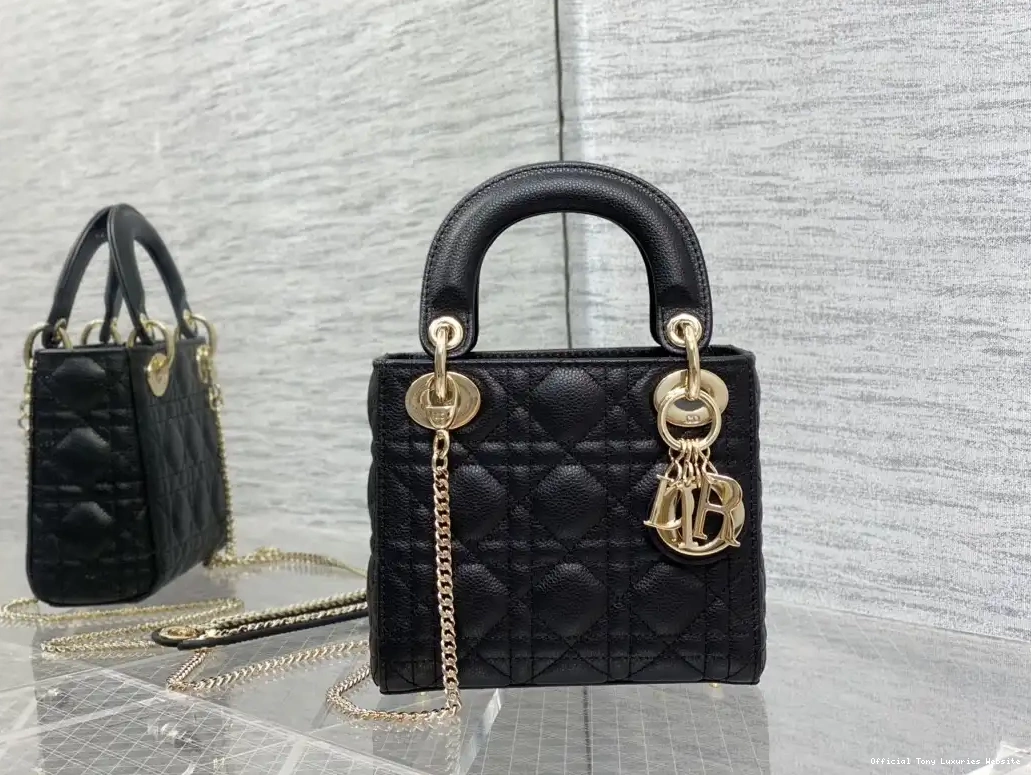 Tony Luxuries Mini diro Lady Calfskin 0408